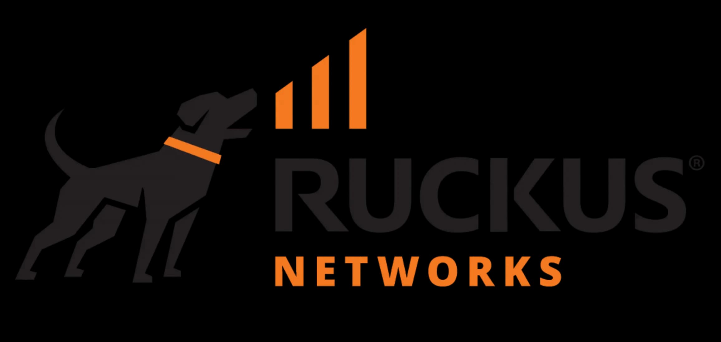 Ruckus Wireless